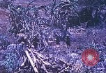 Standbild Vereinigten Staaten Marines Saipan Nördliche Marianen, 1944, aus Sekunde 23 historischem Filmmaterial Videoclip 65675062587