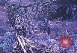 Standbild Vereinigten Staaten Marines Saipan Nördliche Marianen, 1944, aus Sekunde 24 historischem Filmmaterial Videoclip 65675062587