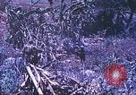 Standbild Vereinigten Staaten Marines Saipan Nördliche Marianen, 1944, aus Sekunde 25 historischem Filmmaterial Videoclip 65675062587