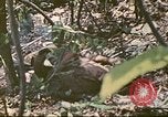 Image des Marines des États-Unis Saipan Îles Mariannes du Nord, 1944, de la seconde 14 séquences d'archives historiques vidéo 65675062588