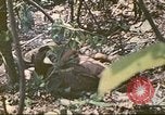 Image des Marines des États-Unis Saipan Îles Mariannes du Nord, 1944, de la seconde 15 séquences d'archives historiques vidéo 65675062588