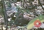 Image des Marines des États-Unis Saipan Îles Mariannes du Nord, 1944, de la seconde 19 séquences d'archives historiques vidéo 65675062588