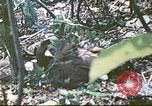 Image des Marines des États-Unis Saipan Îles Mariannes du Nord, 1944, de la seconde 24 séquences d'archives historiques vidéo 65675062588