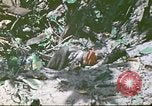 Image des Marines des États-Unis Saipan Îles Mariannes du Nord, 1944, de la seconde 28 séquences d'archives historiques vidéo 65675062588