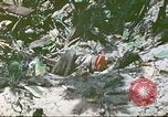 Image des Marines des États-Unis Saipan Îles Mariannes du Nord, 1944, de la seconde 29 séquences d'archives historiques vidéo 65675062588