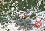 Image des Marines des États-Unis Saipan Îles Mariannes du Nord, 1944, de la seconde 34 séquences d'archives historiques vidéo 65675062588