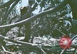 Image des Marines des États-Unis Saipan Îles Mariannes du Nord, 1944, de la seconde 37 séquences d'archives historiques vidéo 65675062588
