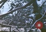 Image des Marines des États-Unis Saipan Îles Mariannes du Nord, 1944, de la seconde 40 séquences d'archives historiques vidéo 65675062588