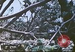 Image des Marines des États-Unis Saipan Îles Mariannes du Nord, 1944, de la seconde 41 séquences d'archives historiques vidéo 65675062588
