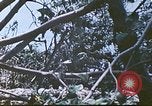 Image des Marines des États-Unis Saipan Îles Mariannes du Nord, 1944, de la seconde 42 séquences d'archives historiques vidéo 65675062588