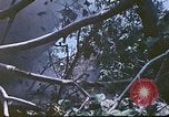 Image des Marines des États-Unis Saipan Îles Mariannes du Nord, 1944, de la seconde 43 séquences d'archives historiques vidéo 65675062588