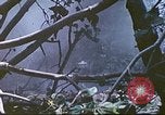 Image des Marines des États-Unis Saipan Îles Mariannes du Nord, 1944, de la seconde 44 séquences d'archives historiques vidéo 65675062588