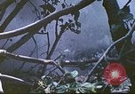 Image des Marines des États-Unis Saipan Îles Mariannes du Nord, 1944, de la seconde 45 séquences d'archives historiques vidéo 65675062588