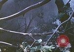 Image des Marines des États-Unis Saipan Îles Mariannes du Nord, 1944, de la seconde 46 séquences d'archives historiques vidéo 65675062588