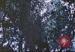 Image des Marines des États-Unis Saipan Îles Mariannes du Nord, 1944, de la seconde 53 séquences d'archives historiques vidéo 65675062588