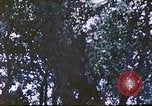 Image des Marines des États-Unis Saipan Îles Mariannes du Nord, 1944, de la seconde 55 séquences d'archives historiques vidéo 65675062588