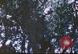 Image des Marines des États-Unis Saipan Îles Mariannes du Nord, 1944, de la seconde 56 séquences d'archives historiques vidéo 65675062588