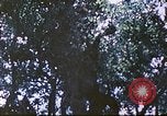 Image des Marines des États-Unis Saipan Îles Mariannes du Nord, 1944, de la seconde 58 séquences d'archives historiques vidéo 65675062588