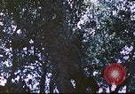 Image des Marines des États-Unis Saipan Îles Mariannes du Nord, 1944, de la seconde 59 séquences d'archives historiques vidéo 65675062588