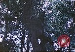Image des Marines des États-Unis Saipan Îles Mariannes du Nord, 1944, de la seconde 61 séquences d'archives historiques vidéo 65675062588
