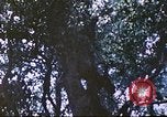 Image des Marines des États-Unis Saipan Îles Mariannes du Nord, 1944, de la seconde 62 séquences d'archives historiques vidéo 65675062588