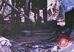 Standbild Vereinigten Staaten Marines Saipan Nördliche Marianen, 1944, aus Sekunde 46 historischem Filmmaterial Videoclip 65675062589