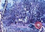 Image des Marines des États-Unis Saipan Îles Mariannes du Nord, 1944, de la seconde 23 séquences d'archives historiques vidéo 65675062590