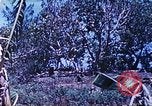 Image des Marines des États-Unis Saipan Îles Mariannes du Nord, 1944, de la seconde 24 séquences d'archives historiques vidéo 65675062590