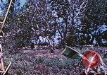 Image des Marines des États-Unis Saipan Îles Mariannes du Nord, 1944, de la seconde 27 séquences d'archives historiques vidéo 65675062590