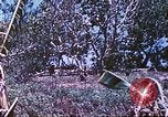 Image des Marines des États-Unis Saipan Îles Mariannes du Nord, 1944, de la seconde 28 séquences d'archives historiques vidéo 65675062590