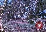 Image des Marines des États-Unis Saipan Îles Mariannes du Nord, 1944, de la seconde 30 séquences d'archives historiques vidéo 65675062590