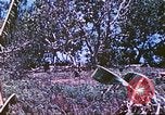 Image des Marines des États-Unis Saipan Îles Mariannes du Nord, 1944, de la seconde 33 séquences d'archives historiques vidéo 65675062590