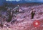 Image des Marines des États-Unis Saipan Îles Mariannes du Nord, 1944, de la seconde 40 séquences d'archives historiques vidéo 65675062590