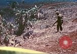 Image des Marines des États-Unis Saipan Îles Mariannes du Nord, 1944, de la seconde 44 séquences d'archives historiques vidéo 65675062590