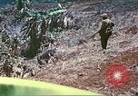 Image des Marines des États-Unis Saipan Îles Mariannes du Nord, 1944, de la seconde 47 séquences d'archives historiques vidéo 65675062590