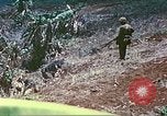 Image des Marines des États-Unis Saipan Îles Mariannes du Nord, 1944, de la seconde 48 séquences d'archives historiques vidéo 65675062590