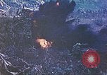Image des Marines des États-Unis Saipan Îles Mariannes du Nord, 1944, de la seconde 54 séquences d'archives historiques vidéo 65675062590