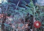 Image des Marines des États-Unis Saipan Îles Mariannes du Nord, 1944, de la seconde 4 séquences d'archives historiques vidéo 65675062591