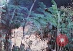 Image des Marines des États-Unis Saipan Îles Mariannes du Nord, 1944, de la seconde 5 séquences d'archives historiques vidéo 65675062591