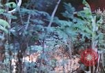 Image des Marines des États-Unis Saipan Îles Mariannes du Nord, 1944, de la seconde 9 séquences d'archives historiques vidéo 65675062591