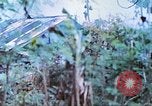Image des Marines des États-Unis Saipan Îles Mariannes du Nord, 1944, de la seconde 16 séquences d'archives historiques vidéo 65675062591