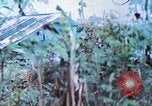 Image des Marines des États-Unis Saipan Îles Mariannes du Nord, 1944, de la seconde 17 séquences d'archives historiques vidéo 65675062591
