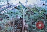 Image des Marines des États-Unis Saipan Îles Mariannes du Nord, 1944, de la seconde 18 séquences d'archives historiques vidéo 65675062591