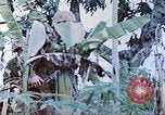 Image des Marines des États-Unis Saipan Îles Mariannes du Nord, 1944, de la seconde 22 séquences d'archives historiques vidéo 65675062591