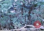 Image des Marines des États-Unis Saipan Îles Mariannes du Nord, 1944, de la seconde 26 séquences d'archives historiques vidéo 65675062591