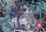 Image des Marines des États-Unis Saipan Îles Mariannes du Nord, 1944, de la seconde 29 séquences d'archives historiques vidéo 65675062591