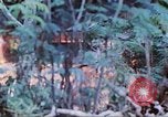 Image des Marines des États-Unis Saipan Îles Mariannes du Nord, 1944, de la seconde 30 séquences d'archives historiques vidéo 65675062591