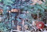 Image des Marines des États-Unis Saipan Îles Mariannes du Nord, 1944, de la seconde 36 séquences d'archives historiques vidéo 65675062591