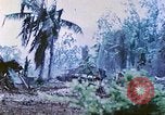 Image of United States Marines Saipan Northern Mariana Islands, 1944, second 11 stock footage video 65675062592