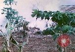Image of United States Marines Saipan Northern Mariana Islands, 1944, second 37 stock footage video 65675062592